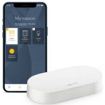 Somfy - Kit De Connectivité - Pilotez Les Moteurs Et L'éclairage Somfy Par Smartphone