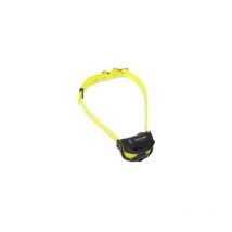 Collier De Dressage Seul Numaxes Pour Canicom Spray Jaune - Pour le Chien de Chasse - Chasseur.com