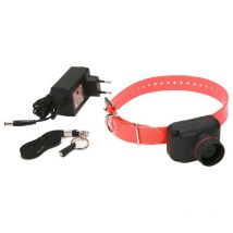 Collier De Reperage Dogtra Stb Beep-l Dogtra-stb-beep-l - Pour le Chien de Chasse - Chasseur.com