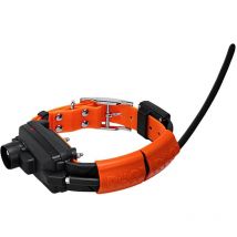 Collier Supplementaire Dog Trace X30tb Ch963110 - Pour le Chien de Chasse - Chasseur.com