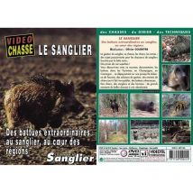 Dvd - Le Sanglier Des Battues Extraordinaires Dvd Sanglier Des Battues Extraordinaires... - Équipement de Chasse - Chasseur.com
