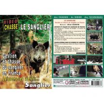 Dvd - Le Sanglier Dvd Gestion Et Chasse Du Sanglier - Équipement de Chasse - Chasseur.com