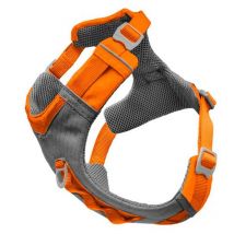 Harnais Kurgo Journey Air - Orange S - Pour le Chien de Chasse - Chasseur.com