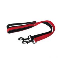 Laisse Nylon Uni Pour Chien Martin Sellier Double Epaisseur Violet 120cm - Largeur 25mm - Pour le Chien de Chasse - Chasseur.com