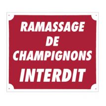 Panneau Signalisation Europ Arm Ramassage De Champignons Interdit Plastique Alvéolé - Aménagement du Territoire - Chasseur.com