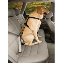 Sangle De Protection Kurgo Seatbelt Cy0798 - Pour le Chien de Chasse - Chasseur.com