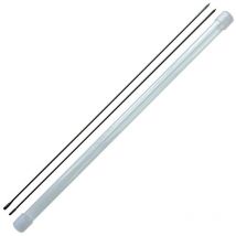 Aiguille À Locher Cat Spirit Renforcée Rg6000045 - Pêcheur.com