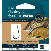 Amo Montato Pafex Coup Fhm-cr-14/12