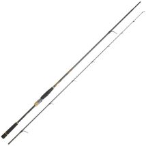 Angelrute Daiwa Morethan Branzino Expert Mtbrexags832mhfscf