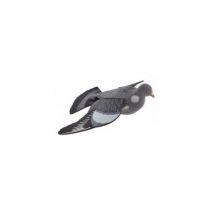 Appelant Gmt Pigeon Mirage Appelant Pigeon Mirage