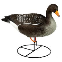 Appelant Stepland Oie Cendree Sur Pied Hd - Par 6 Slapc566-ass6