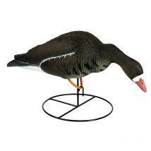 Appelant Stepland Oie Rieuse Sur Pied Hd Penchee - Par 6 Slapc595-ass6