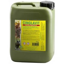 Attraente Vitex Cinglavit Cing5