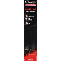 Bas De Ligne Gamakatsu Power Carp - Pole Banded No14