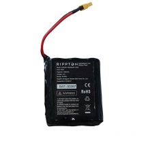 Batterie Rippton Pour Bateau Amorceur Catch X Mini Rip-238524-1 - Pêcheur.com