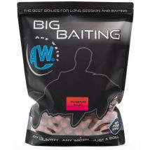 Boilie Any Water Big Baiting Boilies Tangerine Squid Bbts16