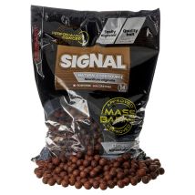 Boilie Irom Starbaits Performance Concept Signal Mass Baiting 81671