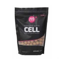 Boilies Mainline Cell M41003