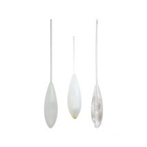 Bombettes Transparent Ragot - Pack Of 3 Awq330020
