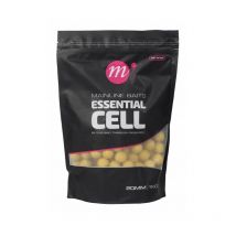 Bouillette Mainline Essential Cell 15mm