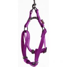 Brustgeschirr /chien Martin Sellier Lila 3005148