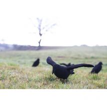 Caller Eurohunt Corbeau Leurre Floqué Avec Des Ailes 510060