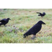 Caller Eurohunt Corbeau Leurre Floqué Sur Tout Le Corps 510061