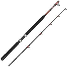 Caña Penn Warfare Ii Boat Rod 1636251