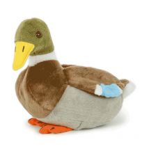 Canard Colvert Nature De Brenne Dkv-11sg01