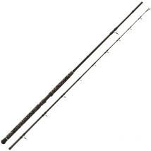 Canna Siluro Zeck Pro-cat 100300