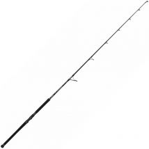 Canna Spinning Penn Marine Brigade Popping Spin Rod 1623134