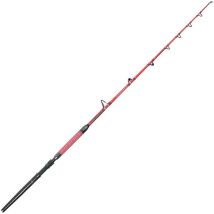 Canna Traina Hart Cimarron Brumeo Dhtcb71130r