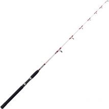 Canna Yokozuna Bonito Dybo50180