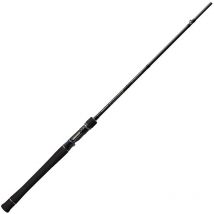 Canne Casting Ever Green The Wild Shooter 214cm / 9-84g