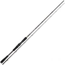Canne Casting Spro Specter Finesse Pelagical 200cm - 30-80g