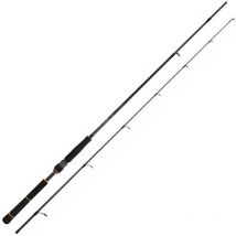Canne Daiwa Black Gold Seabass Bg732hmhfscf - Pêcheur.com