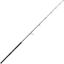 Canne Penn Marine Brigade Offshore Casting Spin Rod 249cm - 20-150g