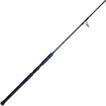 Canne Smith Amuro 250 Amuro250 - Pêcheur.com