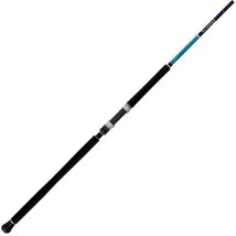 Canne Spinning Smith Dragonbait Seabass Shore Sj100 300cm / 40-120g - Pêcheur.com