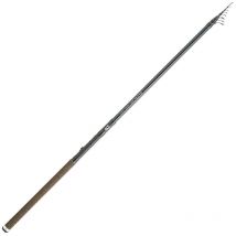 Canne Toc Télescopique Daiwa Ninja Trout Te Njt340tecf - Pour Pêche de la Truite - Pêcheur.com