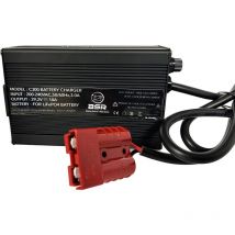 Caricabatterie Di Ricambio 24v Bsr Non Impermeabile Per Batteria Bsr-eco Bsr-eco-ch24