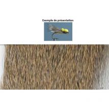 Chevreuil Tof Dhrw - Pêcheur.com