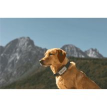 Colar De Rastreamento Tractive Dog Xl Edition Aventure Cy0226