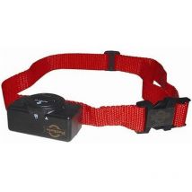 Coleira Anti-ladrar Petsafe Cão Médio/grande + Duas Pilhas 6v Petsafe Oferecidas Cy1676