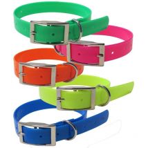 Coleira Cão Hb Dog Fluo Biothane Biogold 396569