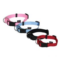 Collar Perro Martin Sellier 3000567