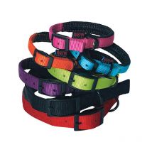 Collar Perro Nylon Liso Recto Comodidad Martin Sellier 3006937