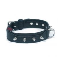 Collar Perro Tachonado Martin Sellier Super Confort 3007024