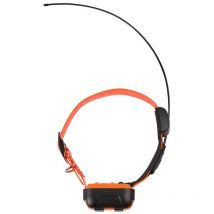 Collier Supplémentaire Numaxes Canicom Gps Ngrepgeo009