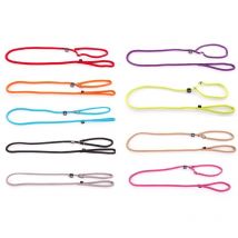 Correa Para Perro Con Collar Semi-ahorcador Martin Sellier Con Collar 3005531